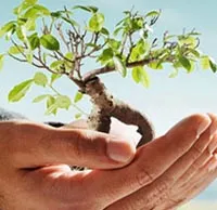 Charitable Trust