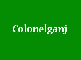 Colonelganj Yellow Pages
